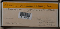 Image Associated With the Occurence